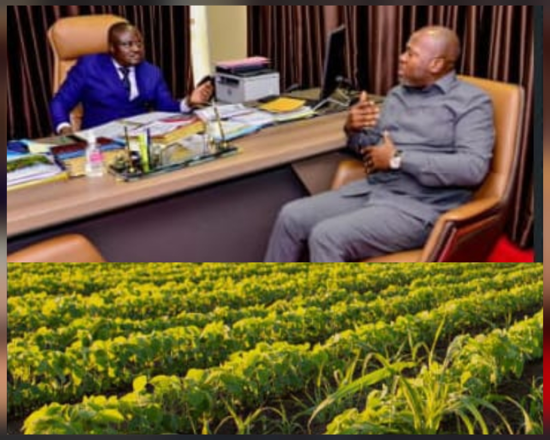 Haut-Uélé : Relance du secteur agricole et la dynamique en pleine accélération