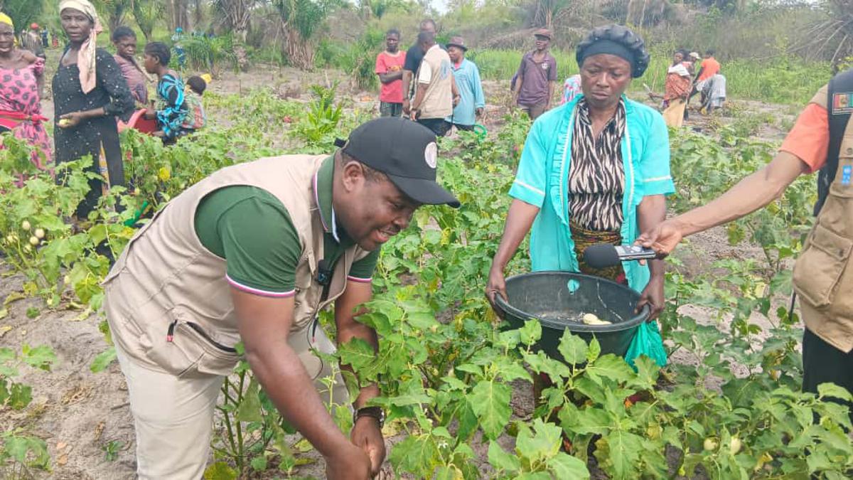 RDC : un nouveau cadre stratégique pour relancer l’agriculture et renforcer la sécurité alimentaire
