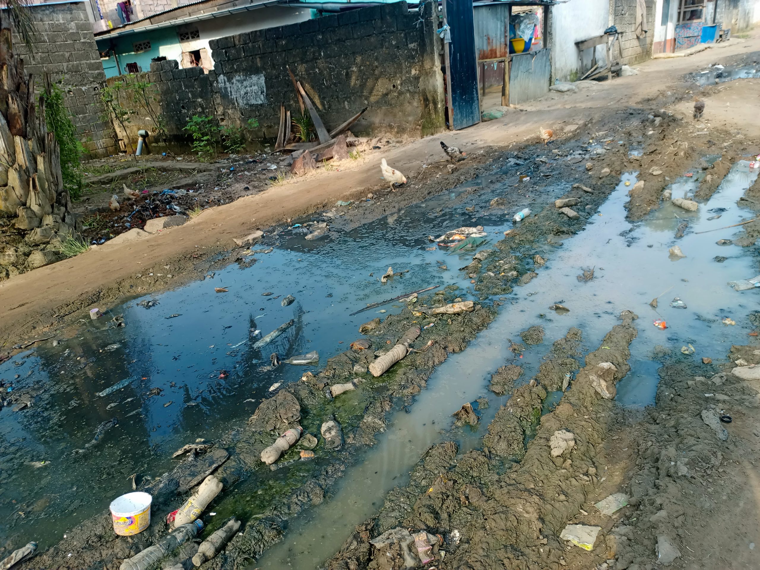 Mont-Ngafula : à l’avenue Justice, les eaux stagnantes transforment le quotidien en calvaire