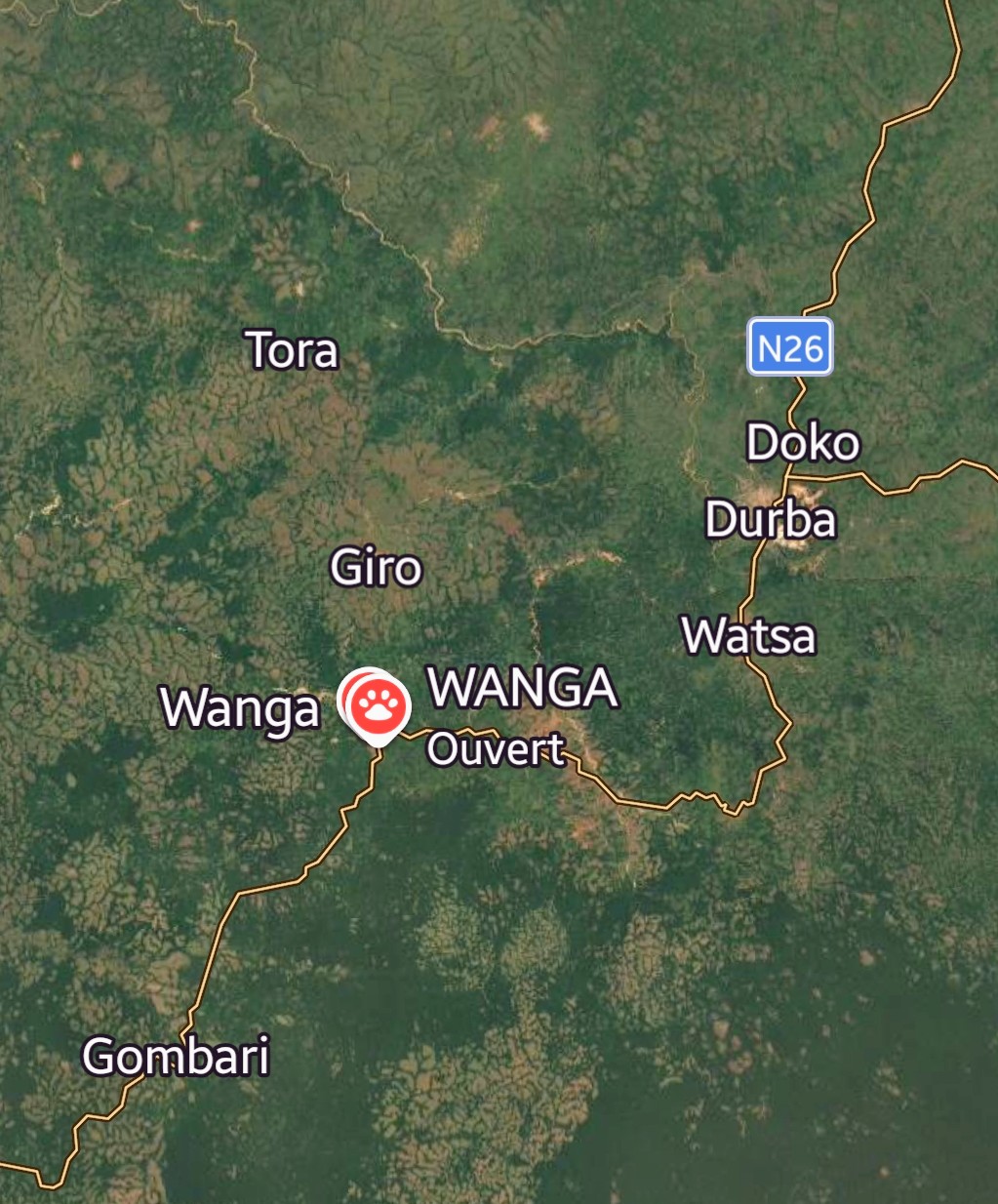 Watsa: un incendie dévastateur réduit sept boutiques en cendres à Wanga 