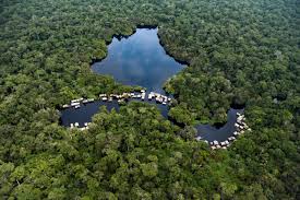 Bassin du Congo : la deuxième forêt du monde sous pression croissante